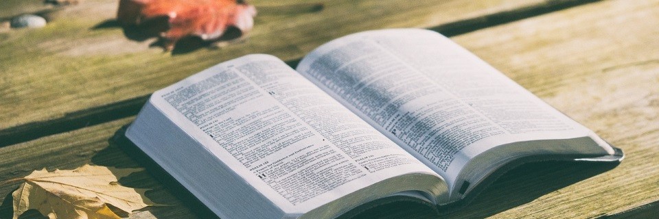 bibel-1868070_slider