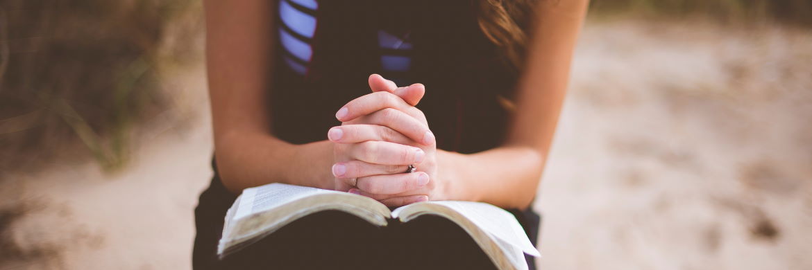 pexels-213316_bibel_gebet_slider