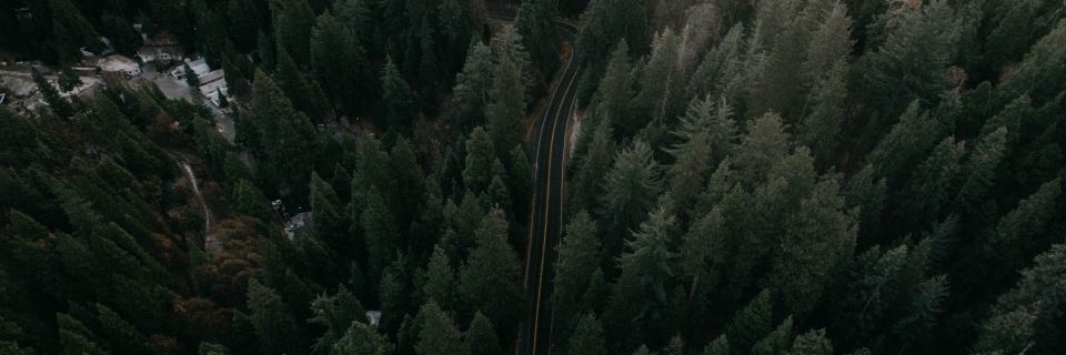 strasse-durch-wald_555801_slider